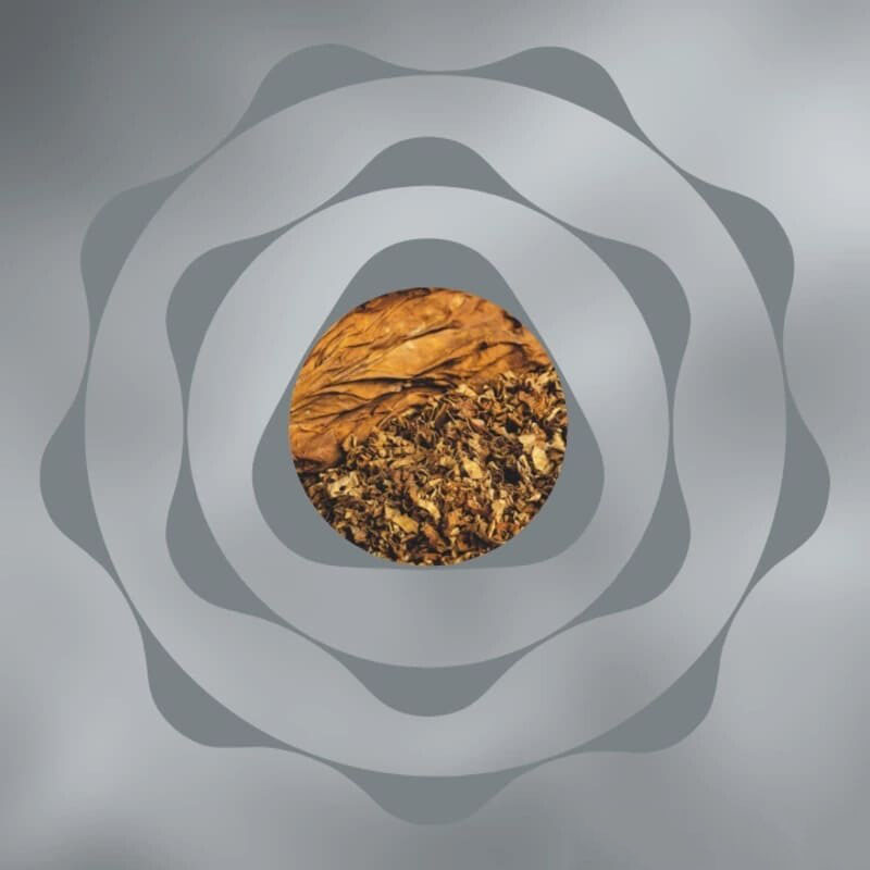 IQOS ILUMA烟弹—TEREA木质香草混合味