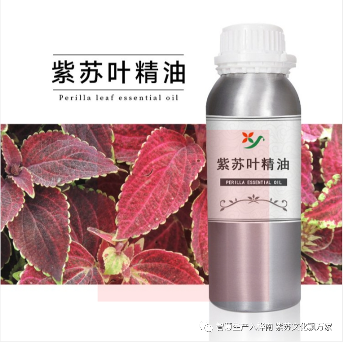 紫苏知识小科普第六期&mdash;&mdash;紫苏油的衍生