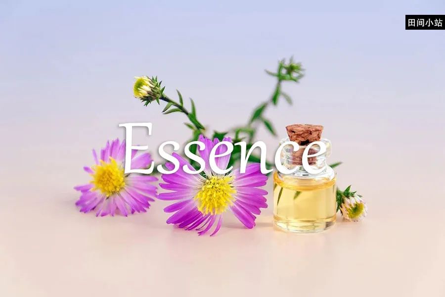 小词详解 | essence