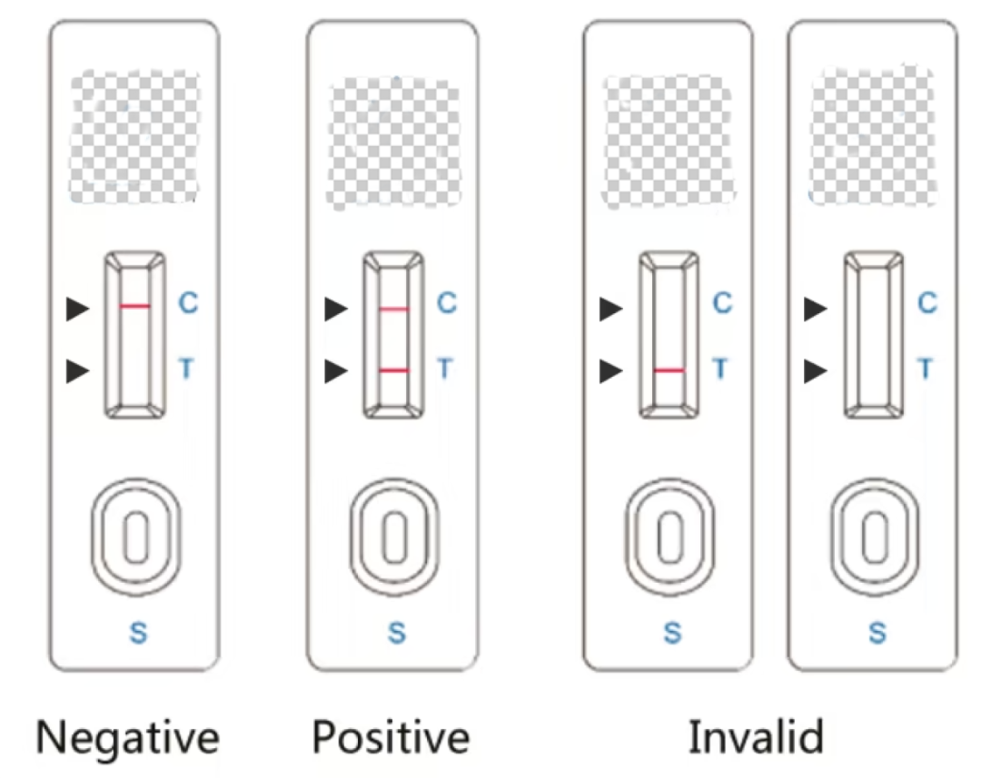 新冠抗原试剂盒上的&ldquo;C&rdquo;、&ldquo;T&rdquo;和&ldquo;S&rdquo;分别是什么意思?